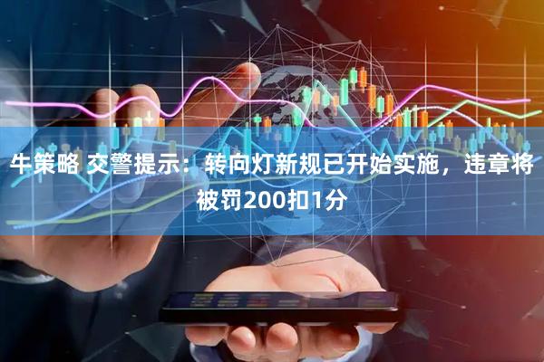 牛策略 交警提示：转向灯新规已开始实施，违章将被罚200扣1分