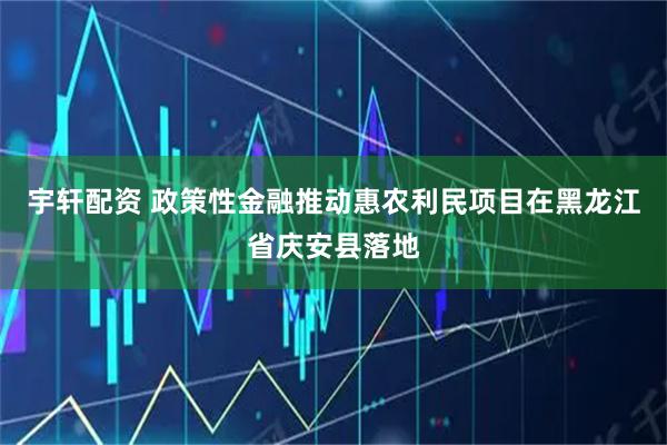 宇轩配资 政策性金融推动惠农利民项目在黑龙江省庆安县落地