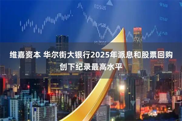 维嘉资本 华尔街大银行2025年派息和股票回购创下纪录最高水平